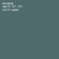#4F6B6B - Cutty Sark Color Image